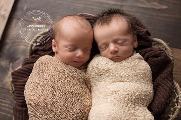 Twins | Atlanta Newborn Photographer | Appleseed Photography
