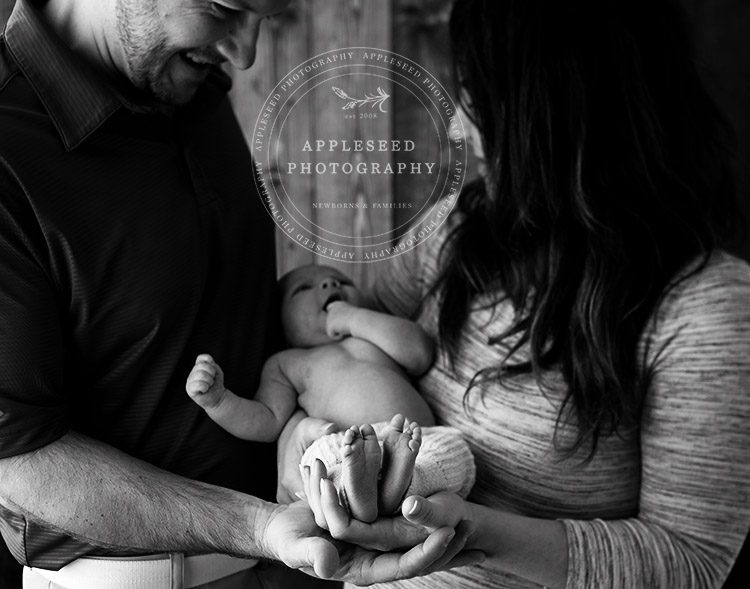 Maximus | Newborn Photographer | Appleseed Photography