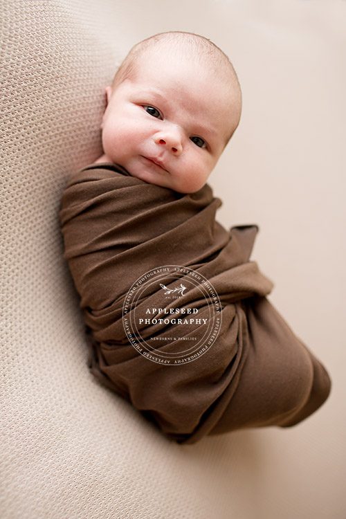 Maximus | Newborn Photographer | Appleseed Photography
