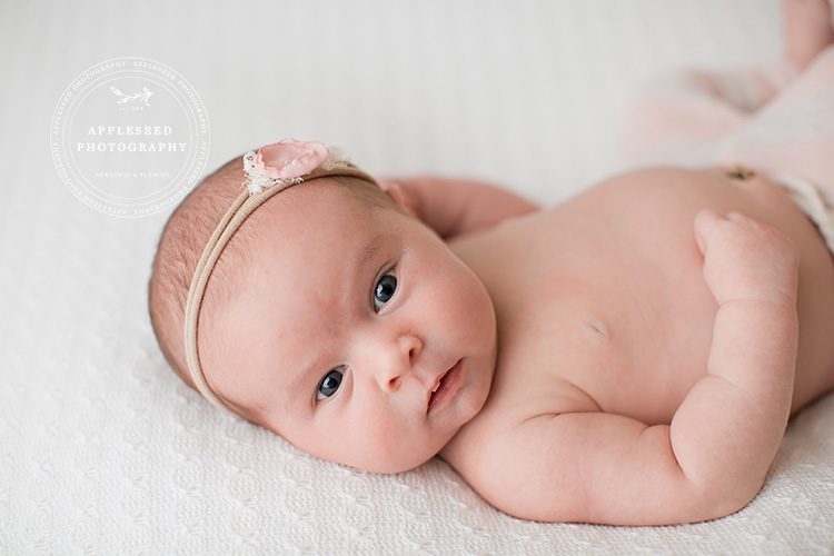 Newborn Session | Beautiful Emma | Appleseed Photography