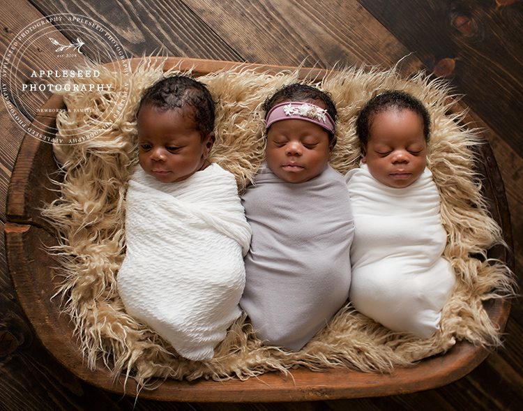 Triplets |Atlanta Triplet Photographer | Appleseed Photography