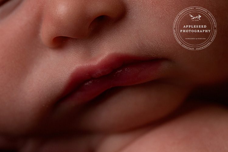 Baby Jase | Vinings Newborn Photographer | Appleseed Photography