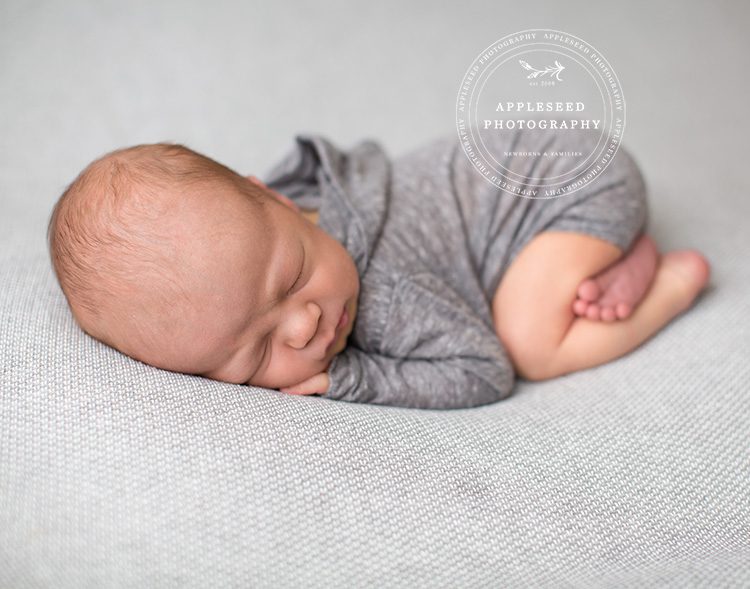 Eli | Newborn Photographs | Appleseed Photography