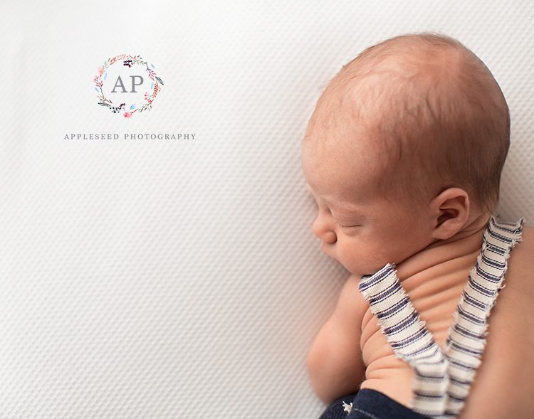 Eli | Newborn Photographs | Appleseed Photography
