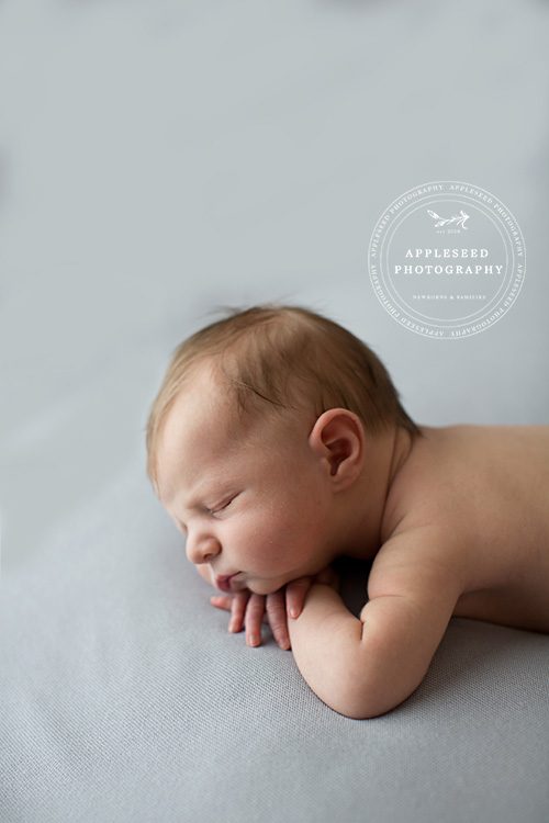 Marietta Newborn Portraits | Appleseed Photography