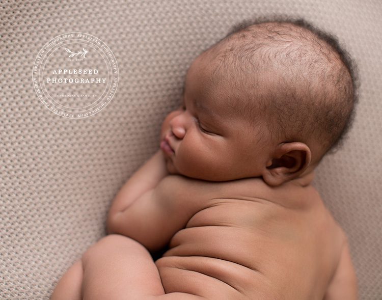 Gabe | Posed Newborn Photos | Appleseed Photography