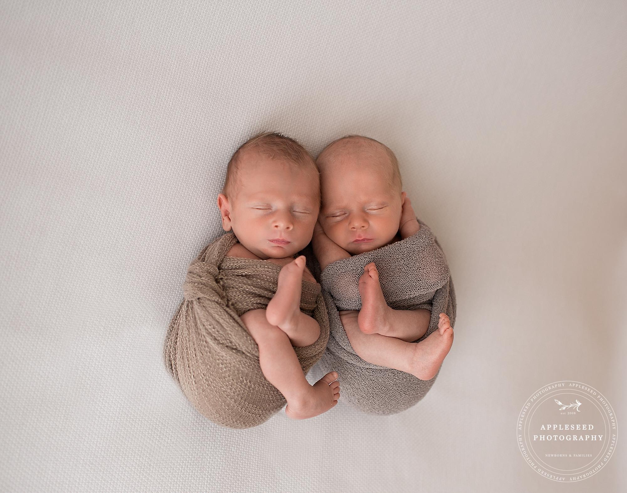Miles and Owen | Atlanta Multiples Photographer | Appleseed Photography