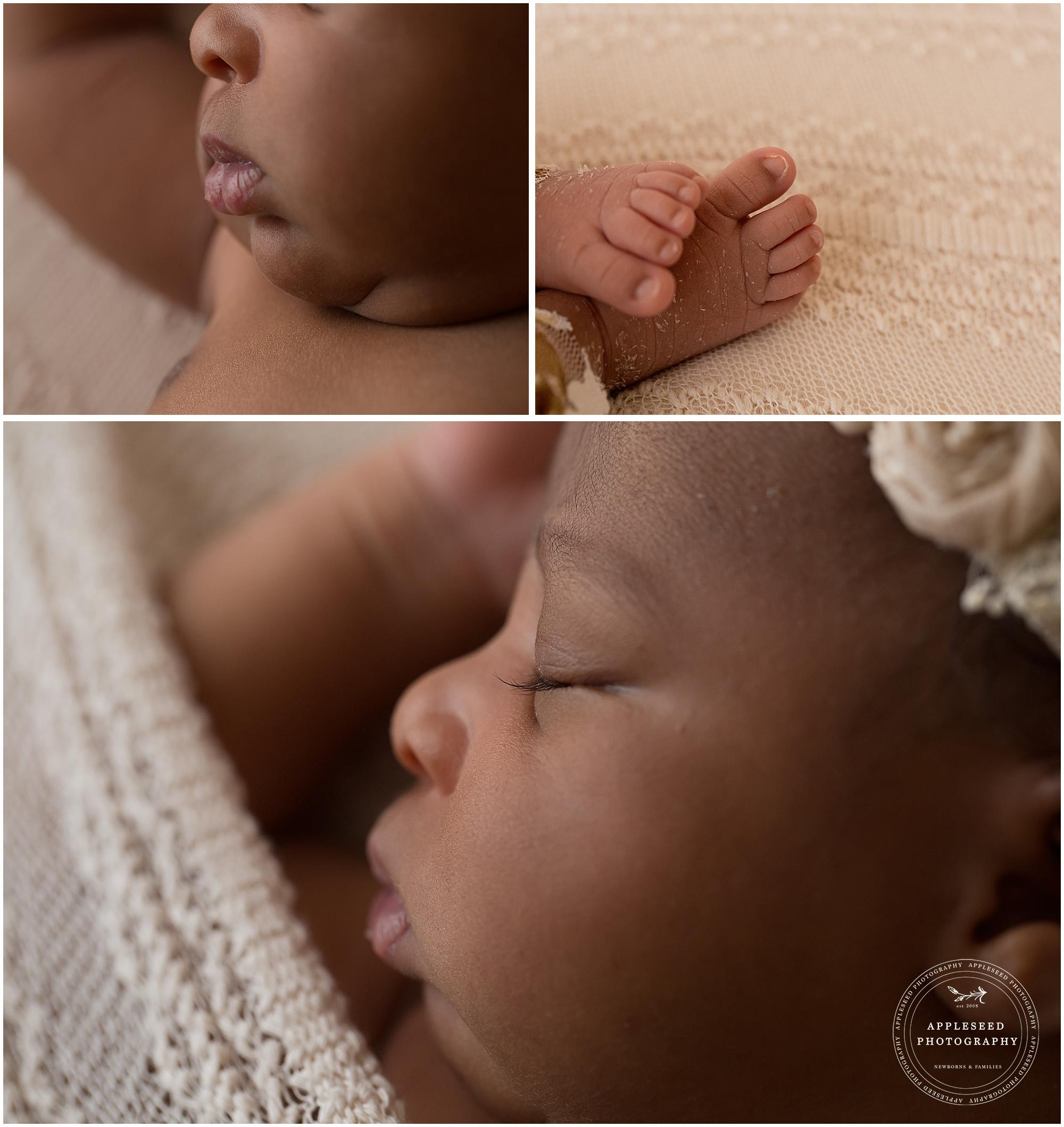 Newborn Photographer Atlanta | Blake | Appleseed Photography