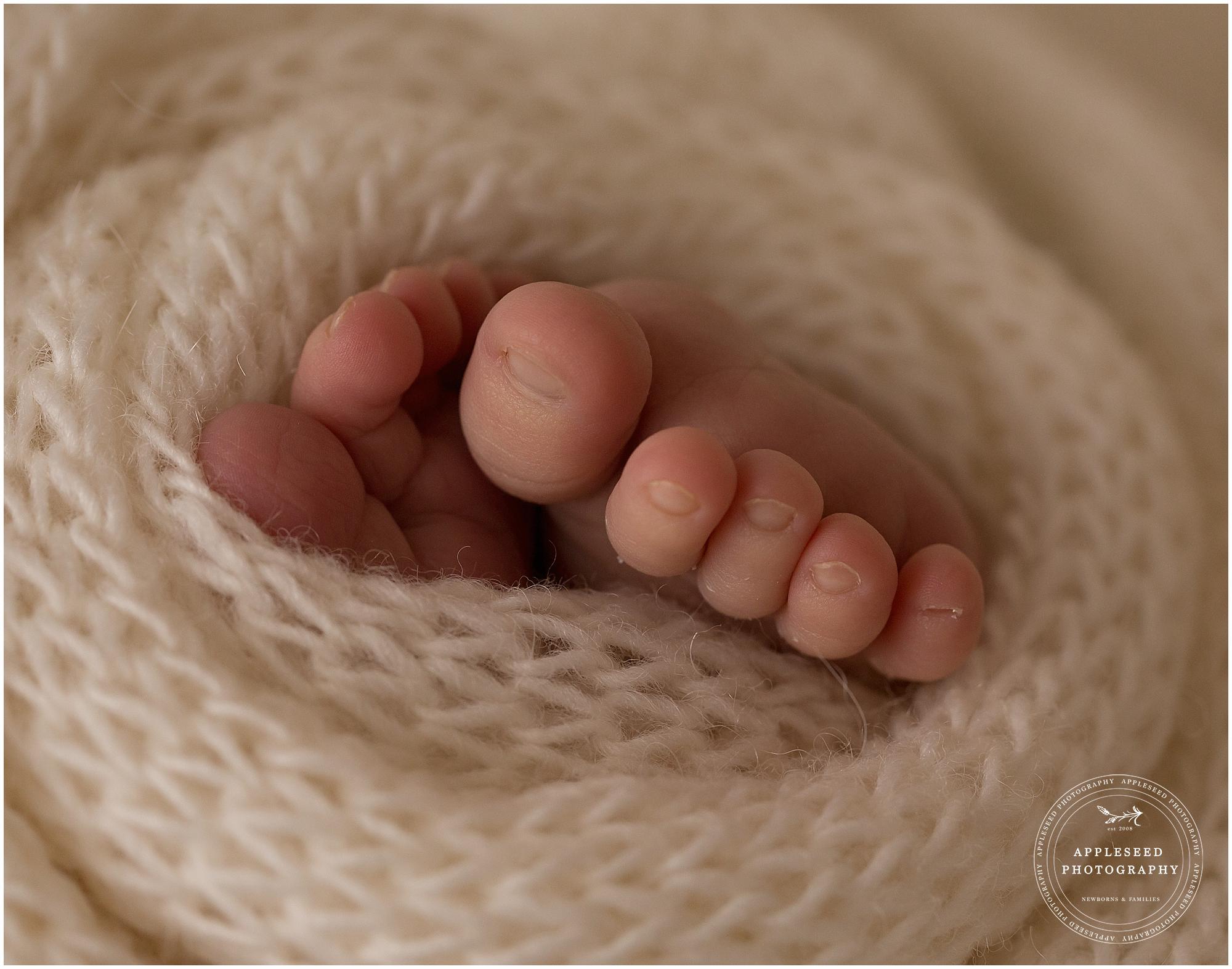 Atlanta Newborn Photographer | Baby Crew | Appleseed Photography