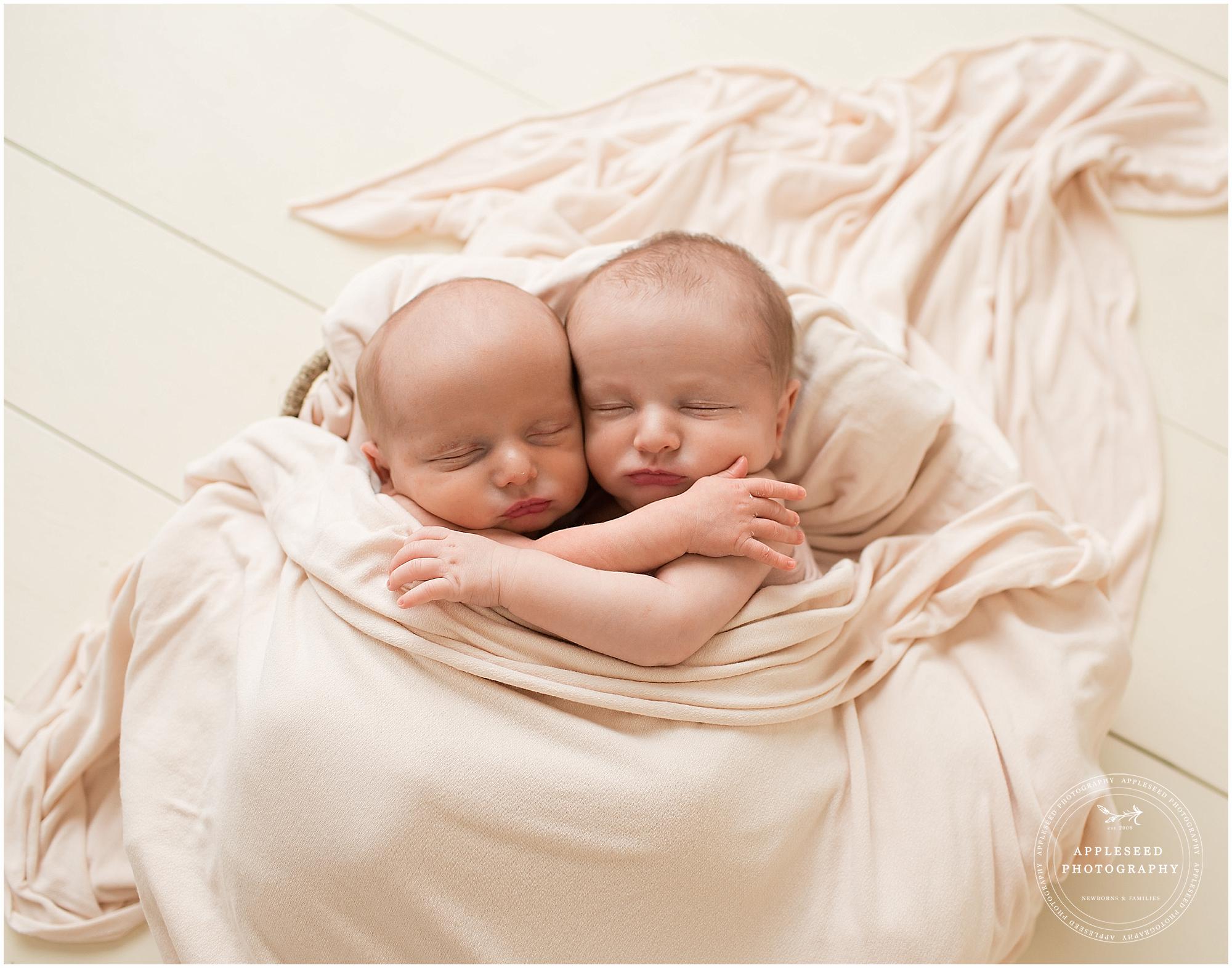 Newborn Photographer Atlanta |  Appleseed Photography