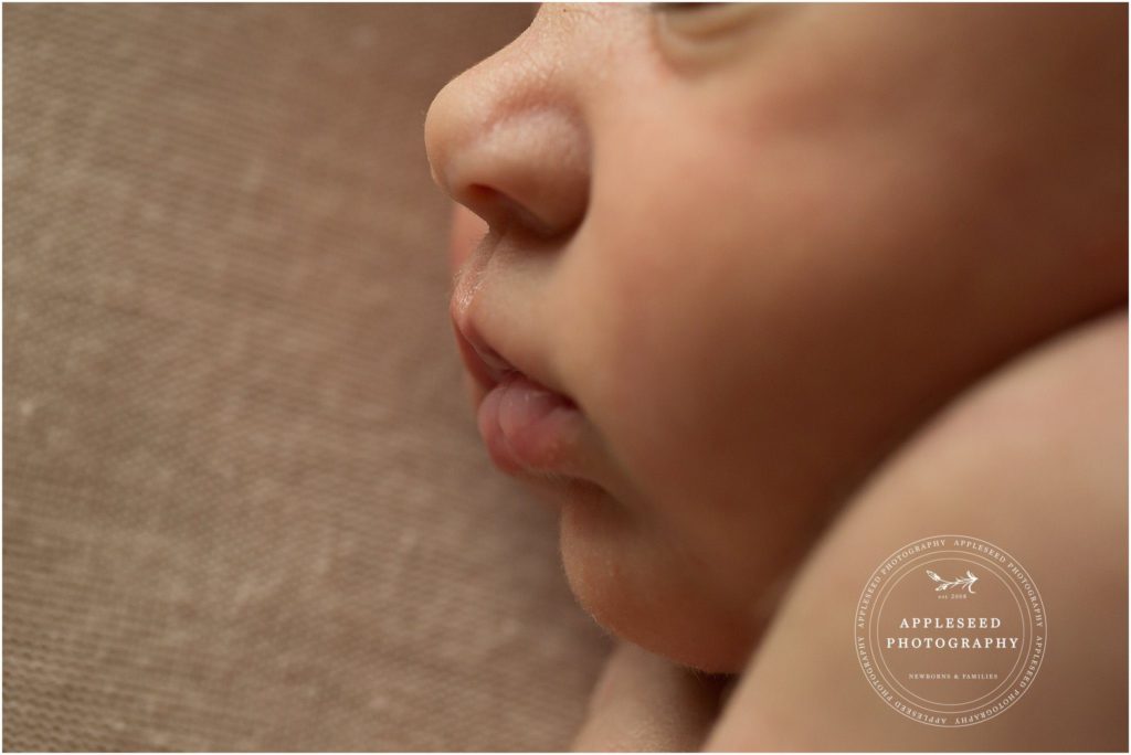 Whitley | Acworth Baby Photographer